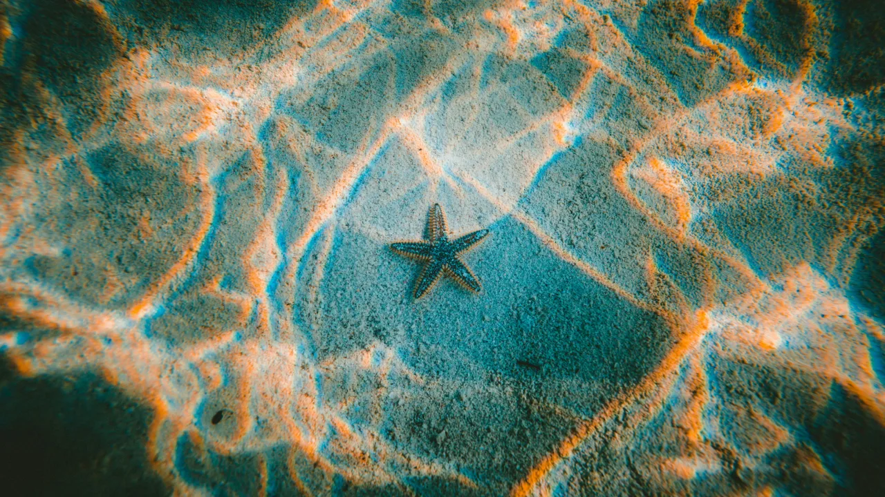 jakob owens n5wwck8ES4w unsplash