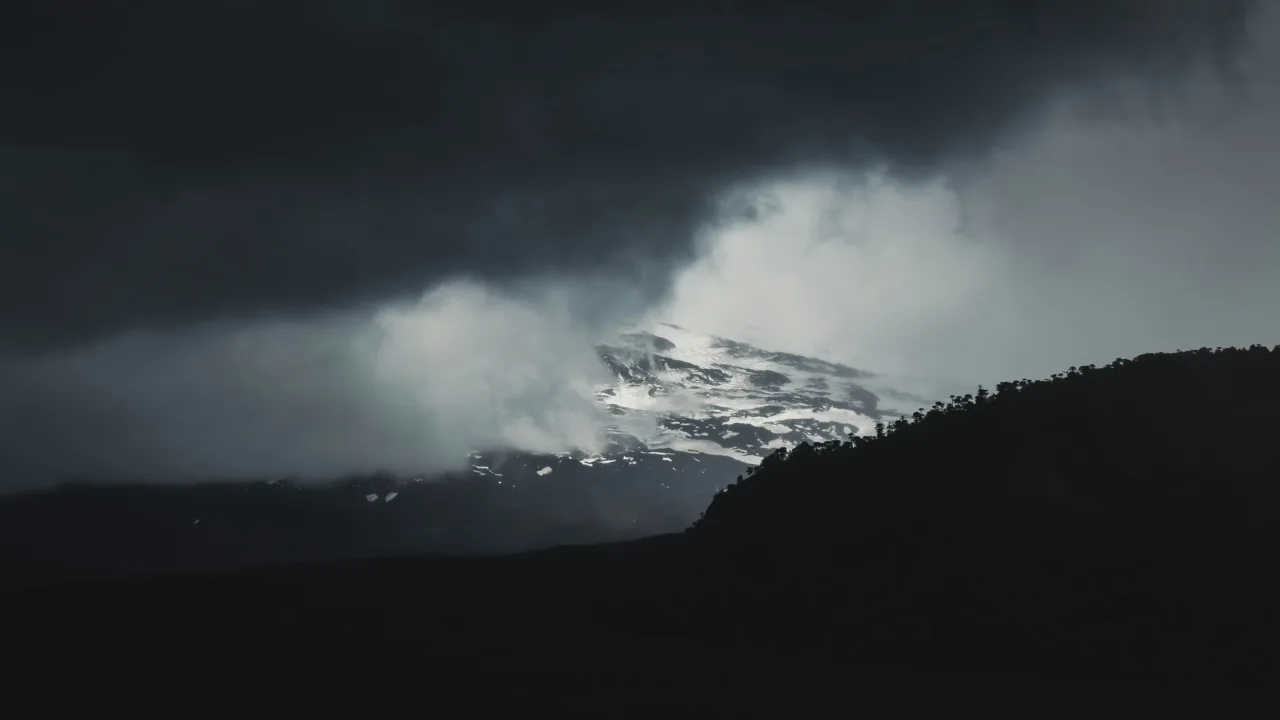 jose leon bNmQuzkt6pw unsplash