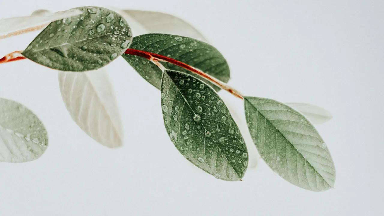okeykat tgxqpsVG 0A unsplash